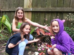Build Your Fairy House