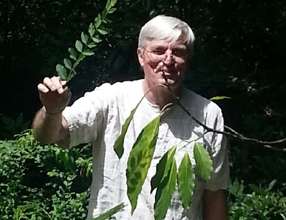 Blue Boy Herbs come to New Orleans Area