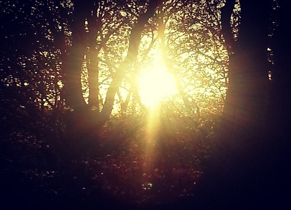 Let the Sun Shine