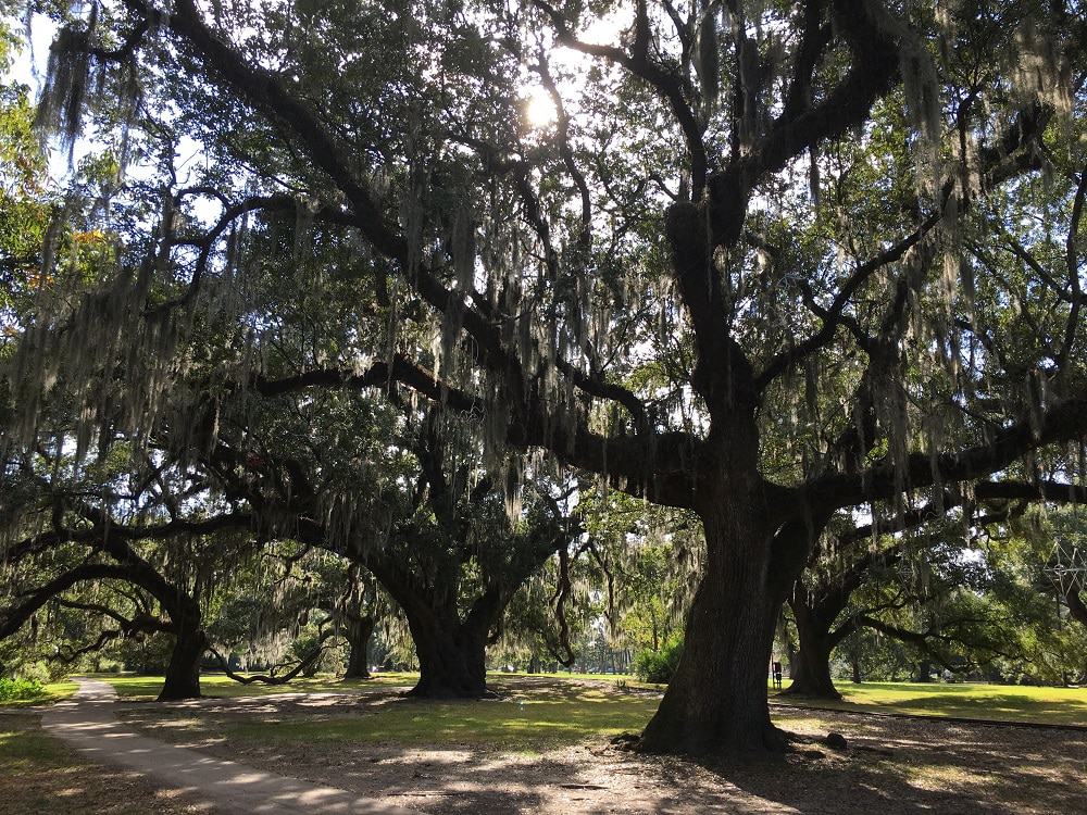City Park New Orleans